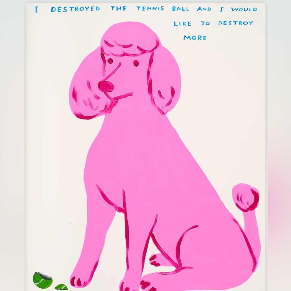 Meet your Posher, Katherine